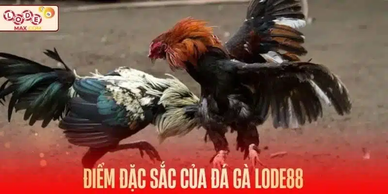 Sân chơi hội tụ đầy đủ mọi ưu điểm đặc sắc