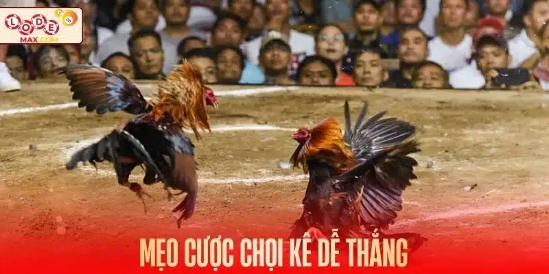 Tích lũy bí kíp tăng cơ hội chiến thắng